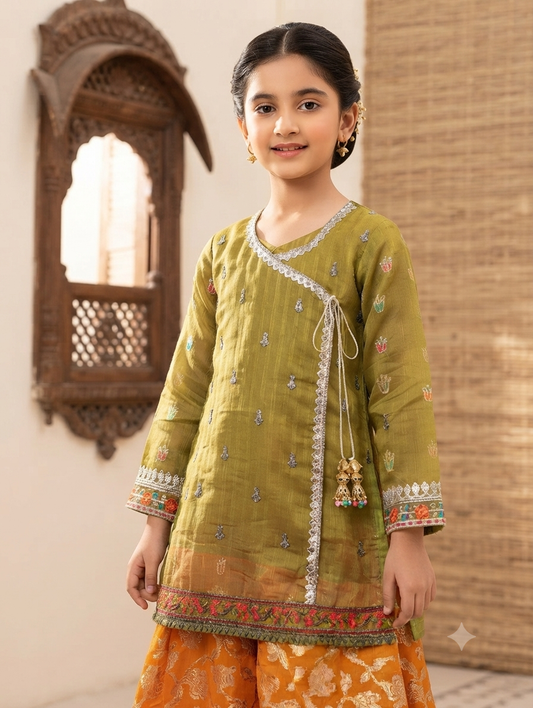 Girls green organza embroidered shirt with orange gharara